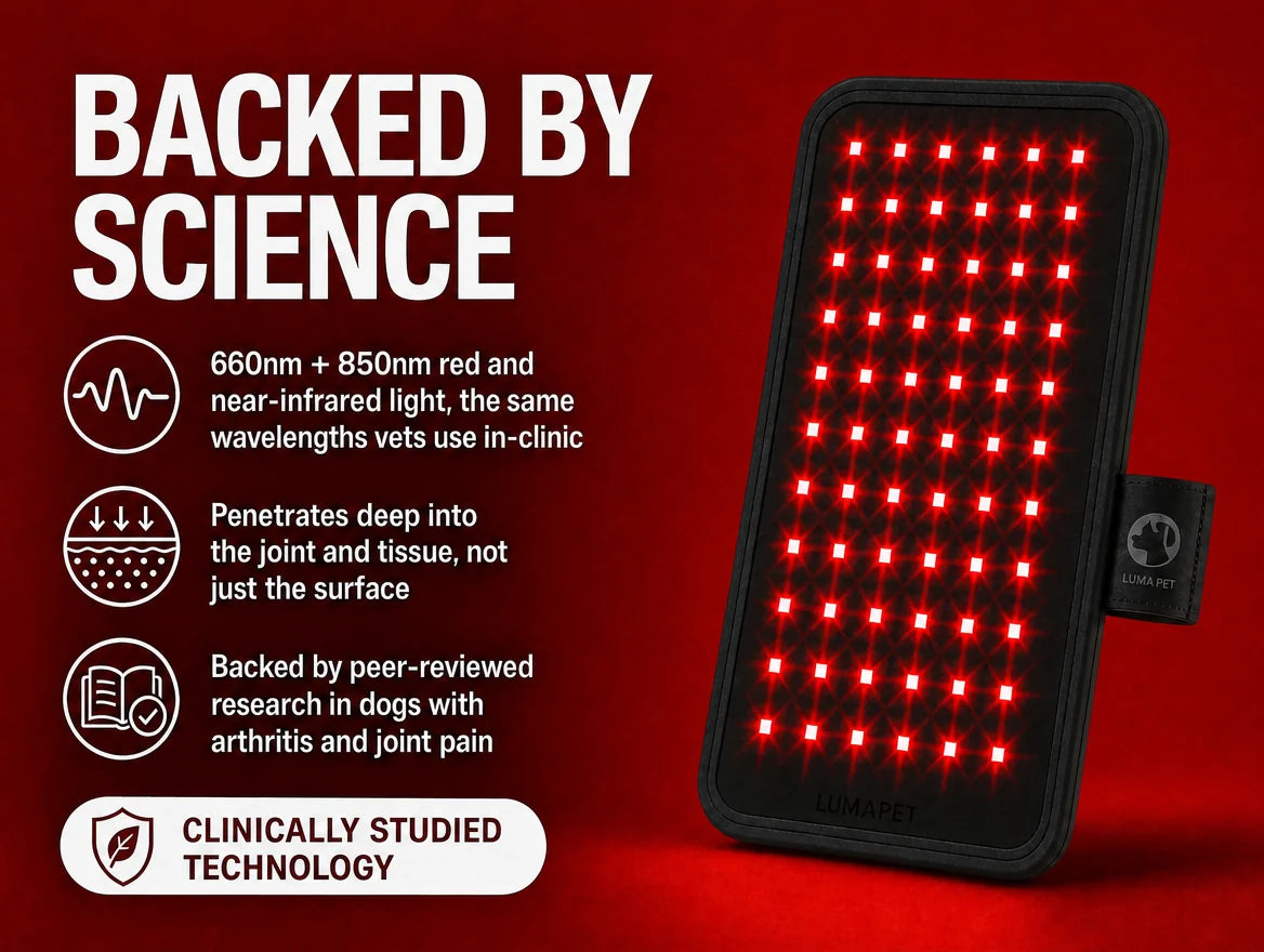 VeloraKindle Red Light Therapy