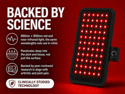 VeloraKindle Red Light Therapy
